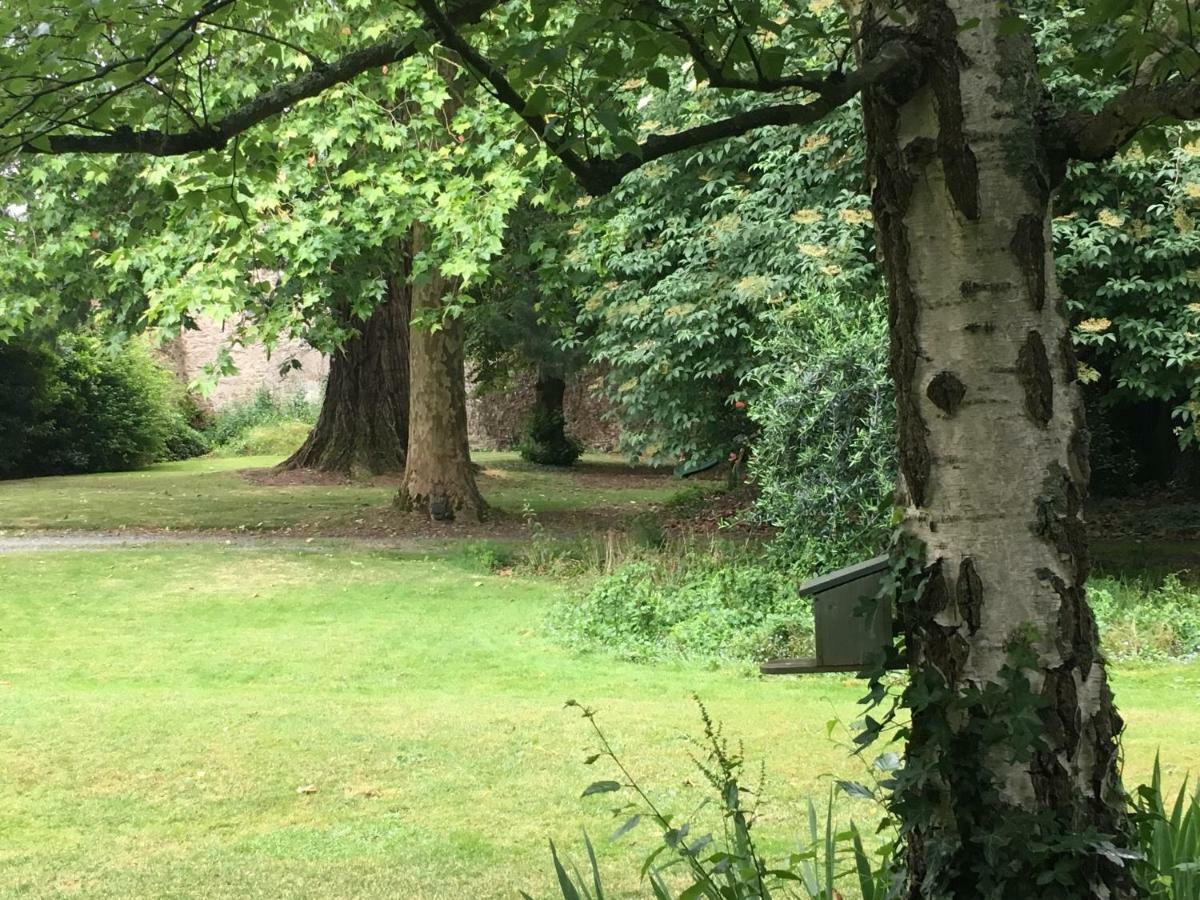 Au Rez De Jardin Hotel Cholet Eksteriør billede
