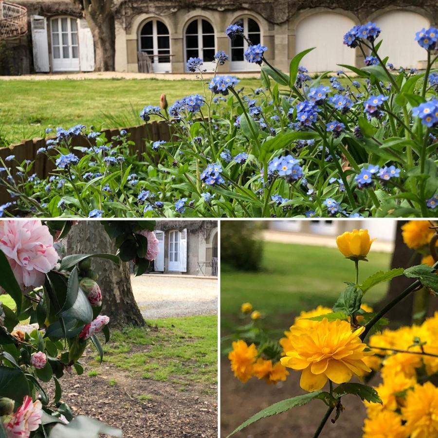 Au Rez De Jardin Hotel Cholet Eksteriør billede
