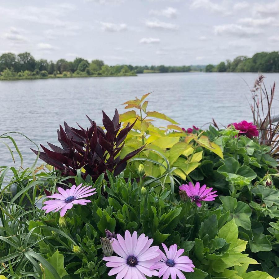Au Rez De Jardin Hotel Cholet Eksteriør billede