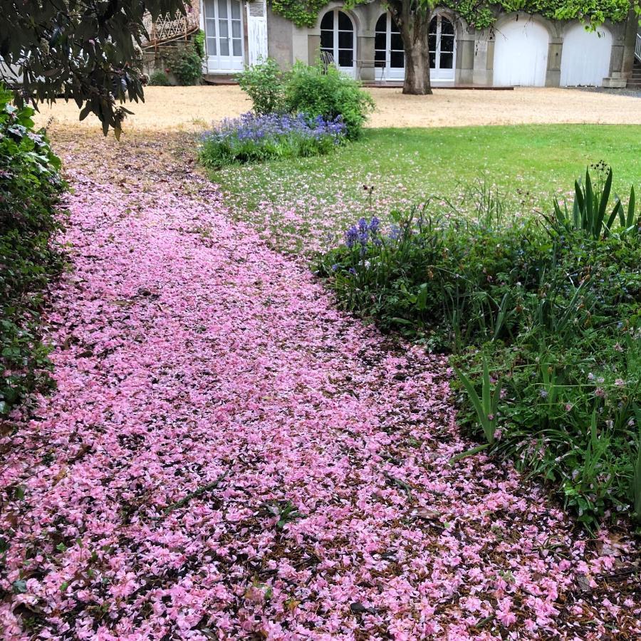 Au Rez De Jardin Hotel Cholet Eksteriør billede