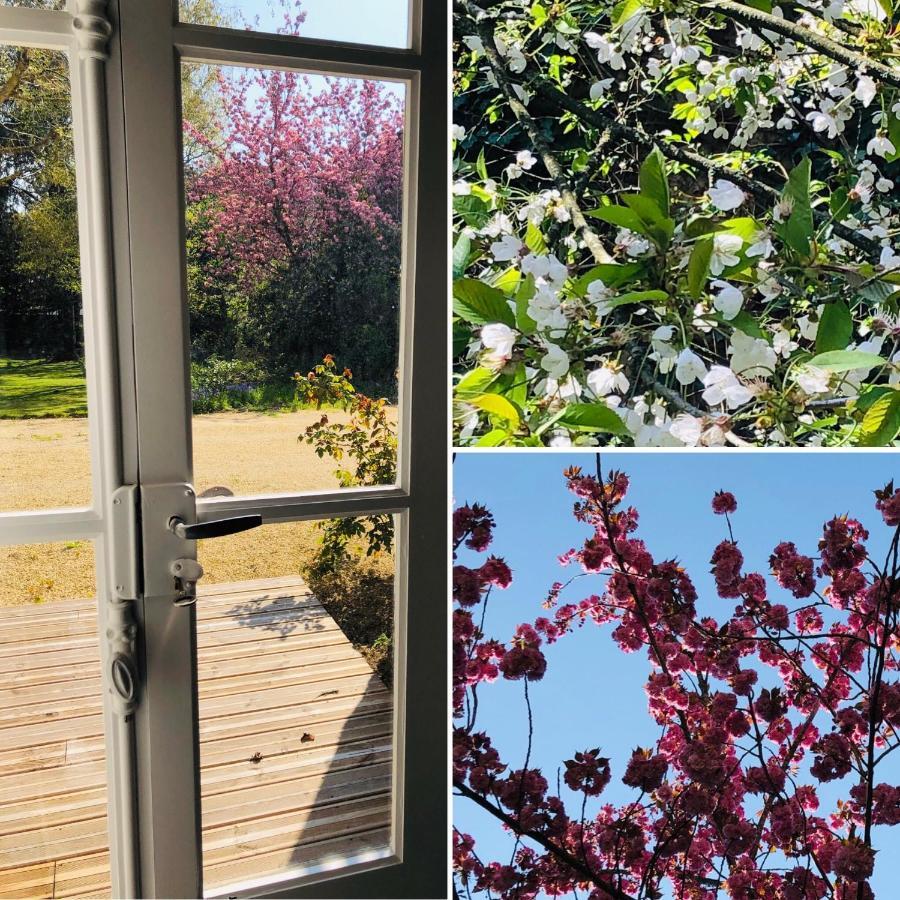 Au Rez De Jardin Hotel Cholet Eksteriør billede