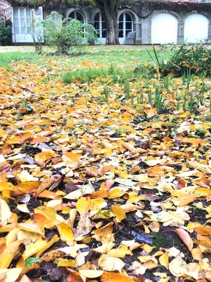 Au Rez De Jardin Hotel Cholet Eksteriør billede