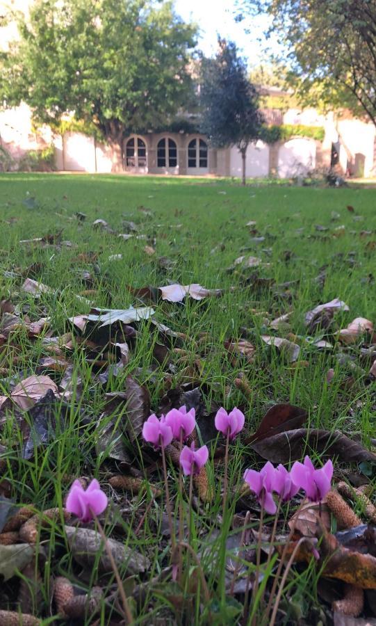 Au Rez De Jardin Hotel Cholet Eksteriør billede